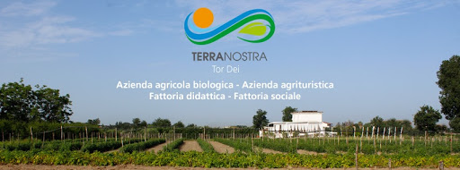 Tor Dei Azienda Agricola Terra Nostra