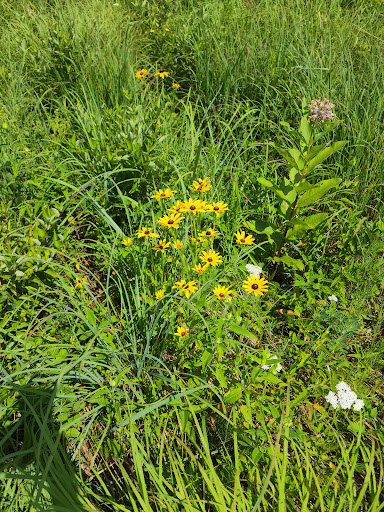 Bird Watching Area «Haehnle Sanctuary», reviews and photos, Seymour Rd, Pleasant Lake, MI 49272, USA