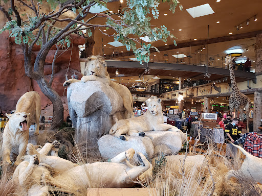 Sporting Goods Store «Bass Pro Shops», reviews and photos, 8200 Dean Martin Dr, Las Vegas, NV 89139, USA