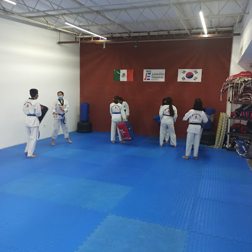 Juárez elite taekwondo