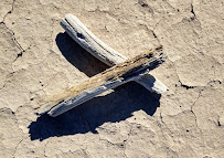 CSJ Photography - Photo 2 - Car repair in , Sunrise Manor