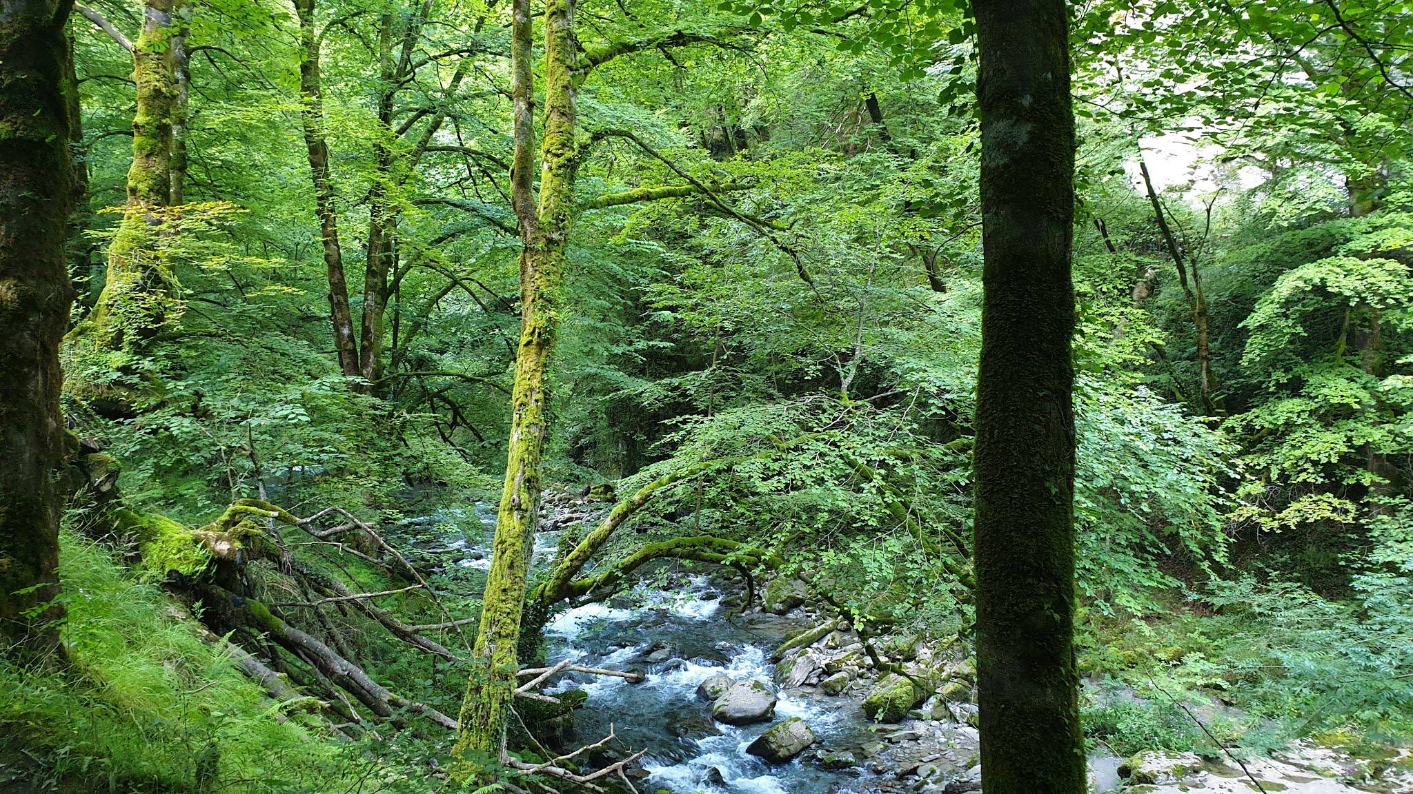 Photo n° 1 de l'avis de FABIEN.A fait le 22/04/2020 à 19:54