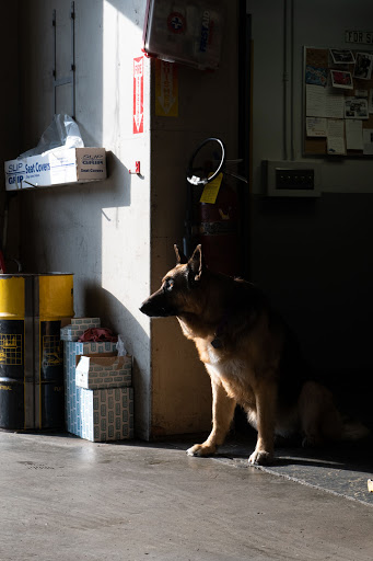 Auto Repair Shop «Car Tender», reviews and photos, 1706 12th Ave, Seattle, WA 98122, USA