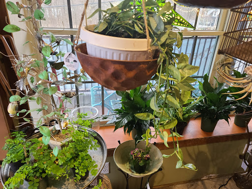 Garden Center «Victoria Gardens», reviews and photos, 1 Cottekill Rd, Rosendale, NY 12472, USA