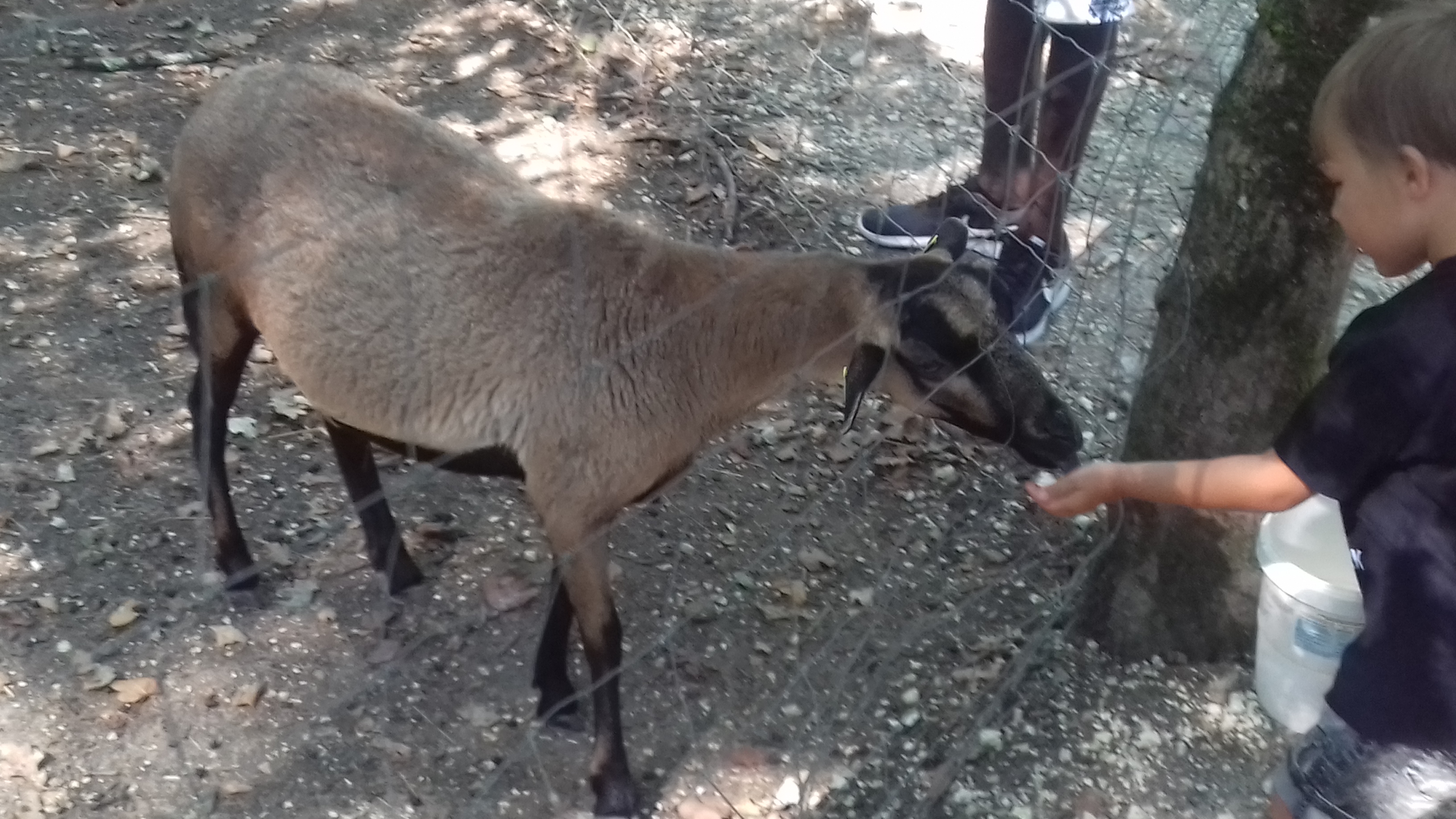 Photo n° 15 de l'avis de Laurent.o fait le 20/08/2018 à 10:25