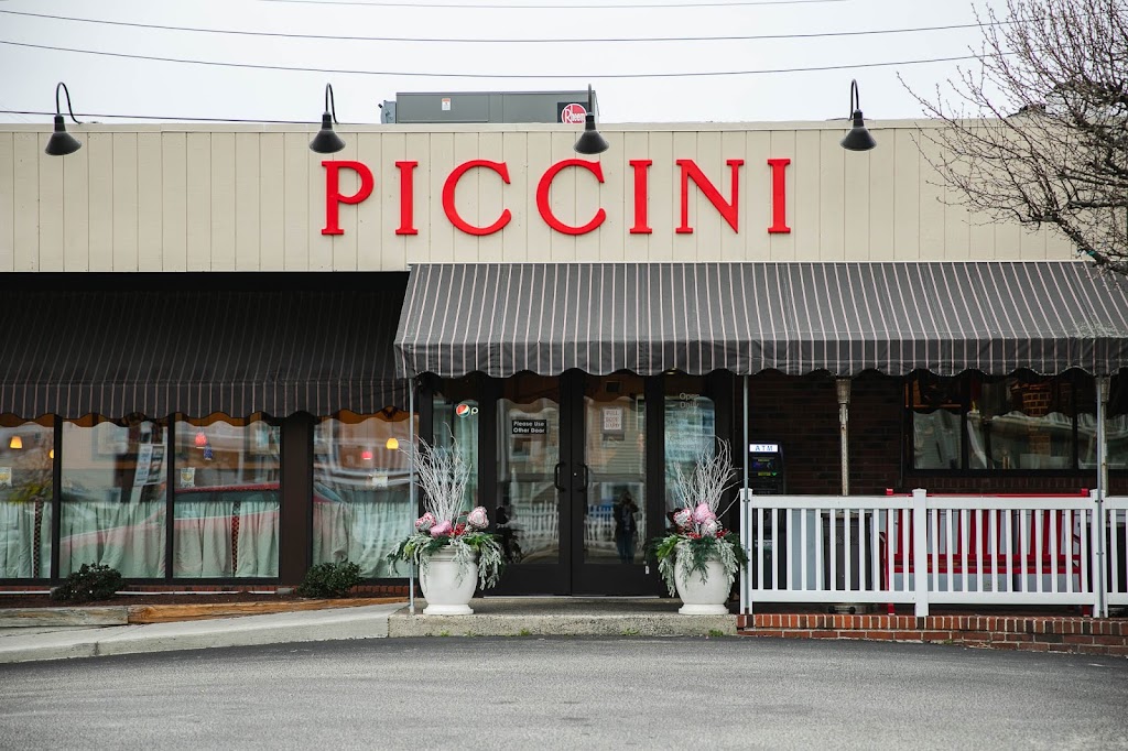 Piccini Wood Fired Brick Oven Pizza 08226