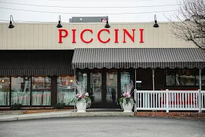Piccini Wood Fired Brick Oven Pizza image