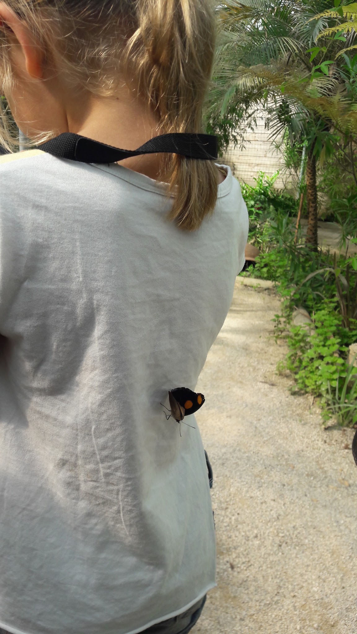 Photo n° 5 de l'avis de jessyca.a fait le 27/04/2018 à 12:12