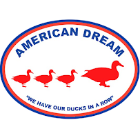 American Dream Carpet Cleaning - Pinellas County - Photo 7 - Car repair in , St. Petersburg