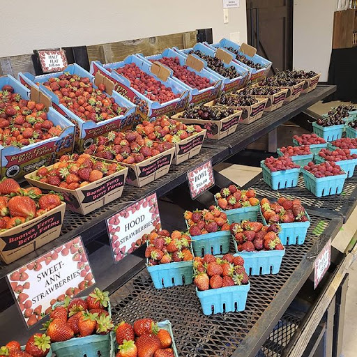 Produce Market «Boones Ferry Berry Farms», reviews and photos, 19602 NE Boones Ferry Rd, Hubbard, OR 97032, USA