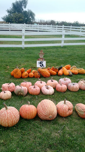 Pumpkin Patch «Barts Farm and Pumpkin Patch», reviews and photos, 7307 Alburnett Rd, Marion, IA 52302, USA