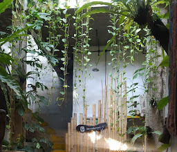 Banana Homestay photo