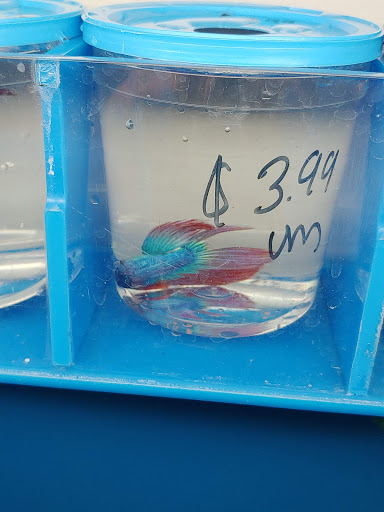 Pet Supply Store «PetSmart», reviews and photos, 13241 Gateway Center Dr, Gainesville, VA 20155, USA