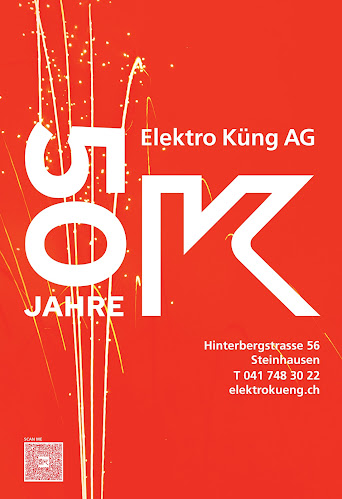 Elektro Küng AG - Zug