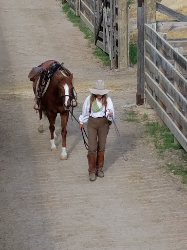 Tourist Attraction «Stockyards Championship Rodeo», reviews and photos, 121 E Exchange Ave, Fort Worth, TX 76164, USA