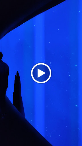 Movie Theater «AMC Loews Lincoln Square 13», reviews and photos, 1998 Broadway, New York, NY 10023, USA