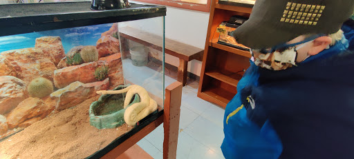 Pet Store «Night Stalkers Pet Emporium», reviews and photos, 5008 Madison Ave, Anderson, IN 46013, USA