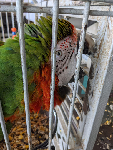 Pet Supply Store «The Village Pet Shoppe, LLC», reviews and photos, 1150 Carlisle St, Hanover, PA 17331, USA