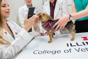 University of Illinois Veterinary Teaching Hospital image