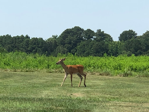 Golf Course «Great Hope Golf Course», reviews and photos, 8380 Crisfield Hwy, Westover, MD 21871, USA