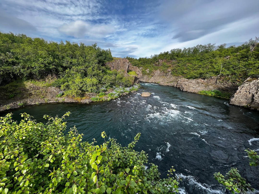 Egilsstaðir, İzlanda