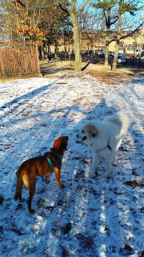 Park «Union Street Dog Park», reviews and photos, 59 Fair St, New Haven, CT 06511, USA