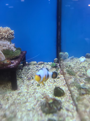 Pet Supply Store «Petco Animal Supplies», reviews and photos, 3680 Spencer Hwy, Pasadena, TX 77504, USA