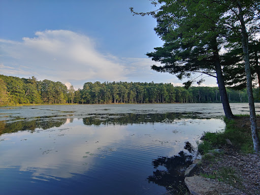 Outdoor Sports Store «Maple Hill Disc Golf», reviews and photos, 132 Marshall St, Leicester, MA 01524, USA