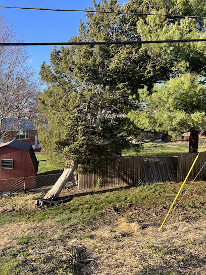 Southfork Tree Services