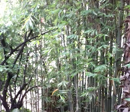 PARQUE Galería photo