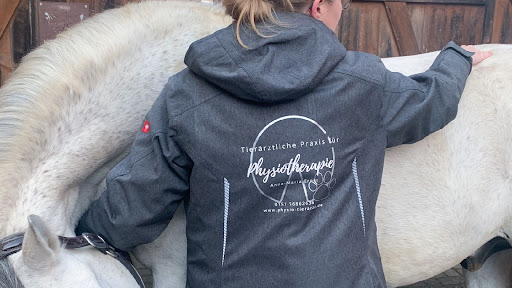 Tierärztliche Praxis für Physiotherapie Anna-Maria Ernst unter Hüttenberg, 