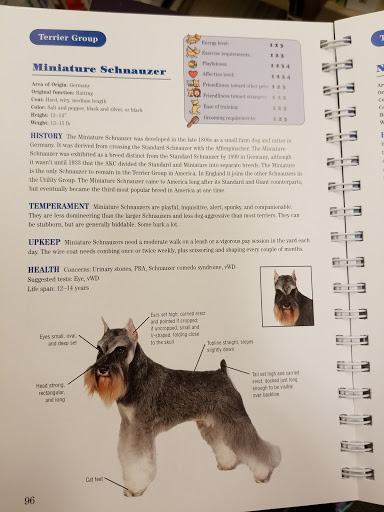 Barnes & Noble image