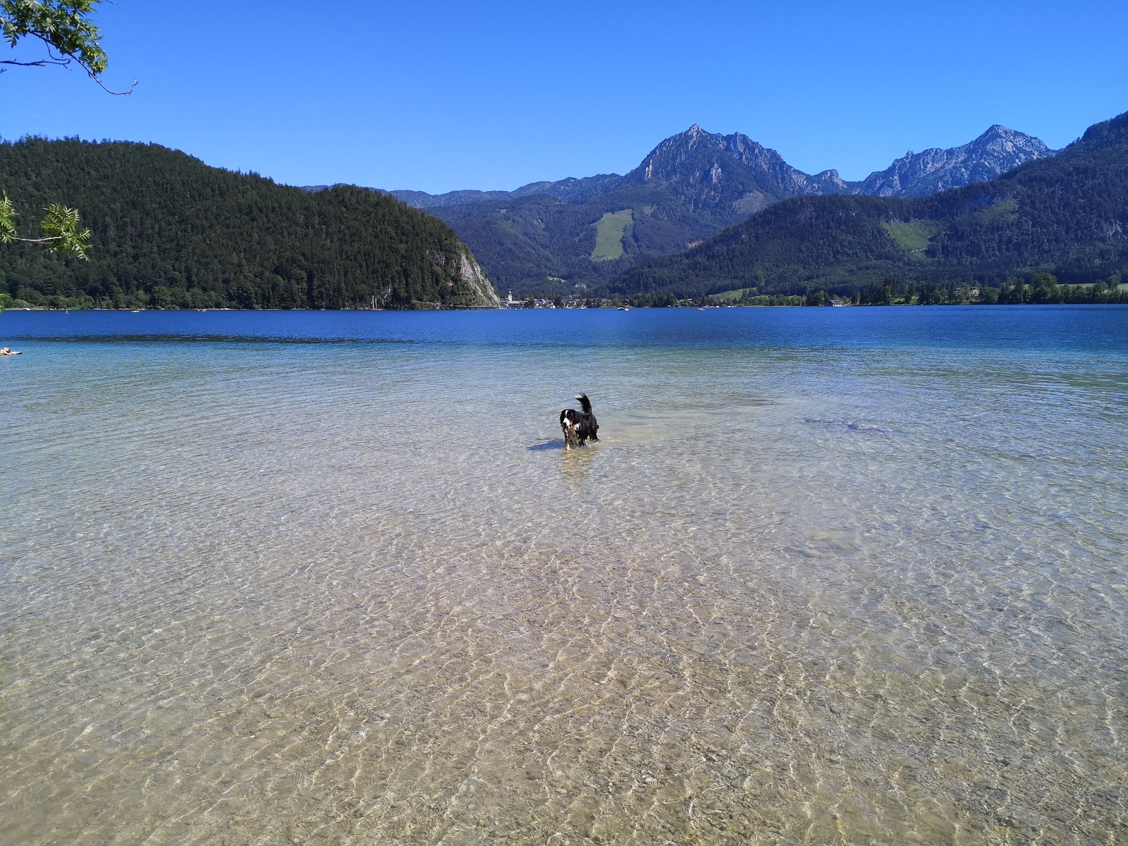 Appesbach Strand'in fotoğrafı ve yerleşim