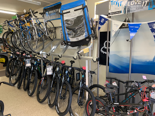 Bicycle Store «Mojo Bicycle Shop», reviews and photos, 1377 N Delsea Dr, Vineland, NJ 08360, USA