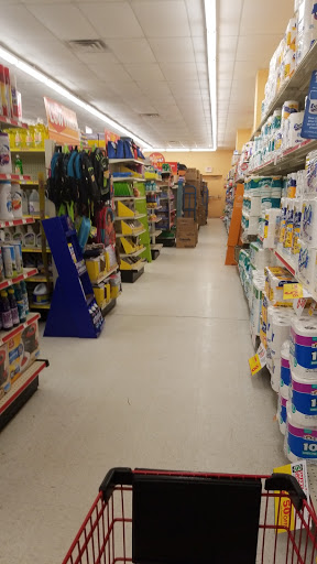 Dollar Store «FAMILY DOLLAR», reviews and photos, 717 E Main St, Fennville, MI 49408, USA