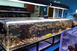 Reef Keepers Aquarium, Inc. image