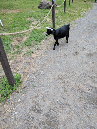 Water Park «Enchanted Forest Water Safari», reviews and photos, 3183 NY-28, Old Forge, NY 13420, USA