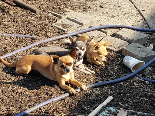 Mid-Valley Veterinary Clinic