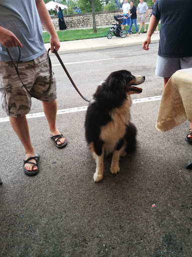 Stadium «Huntington Park», reviews and photos, 330 Huntington Park Ln, Columbus, OH 43215, USA