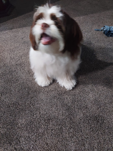 Pet Supply Store «PetSmart», reviews and photos, 55 Boston Post Rd, Orange, CT 06477, USA