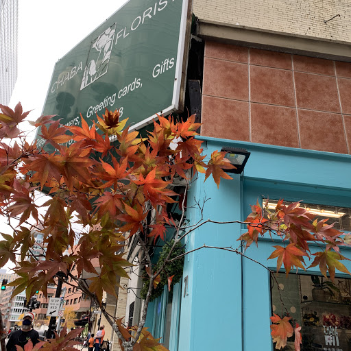 Florist «Chaba Florists», reviews and photos, 71 Stuart St, Boston, MA 02116, USA
