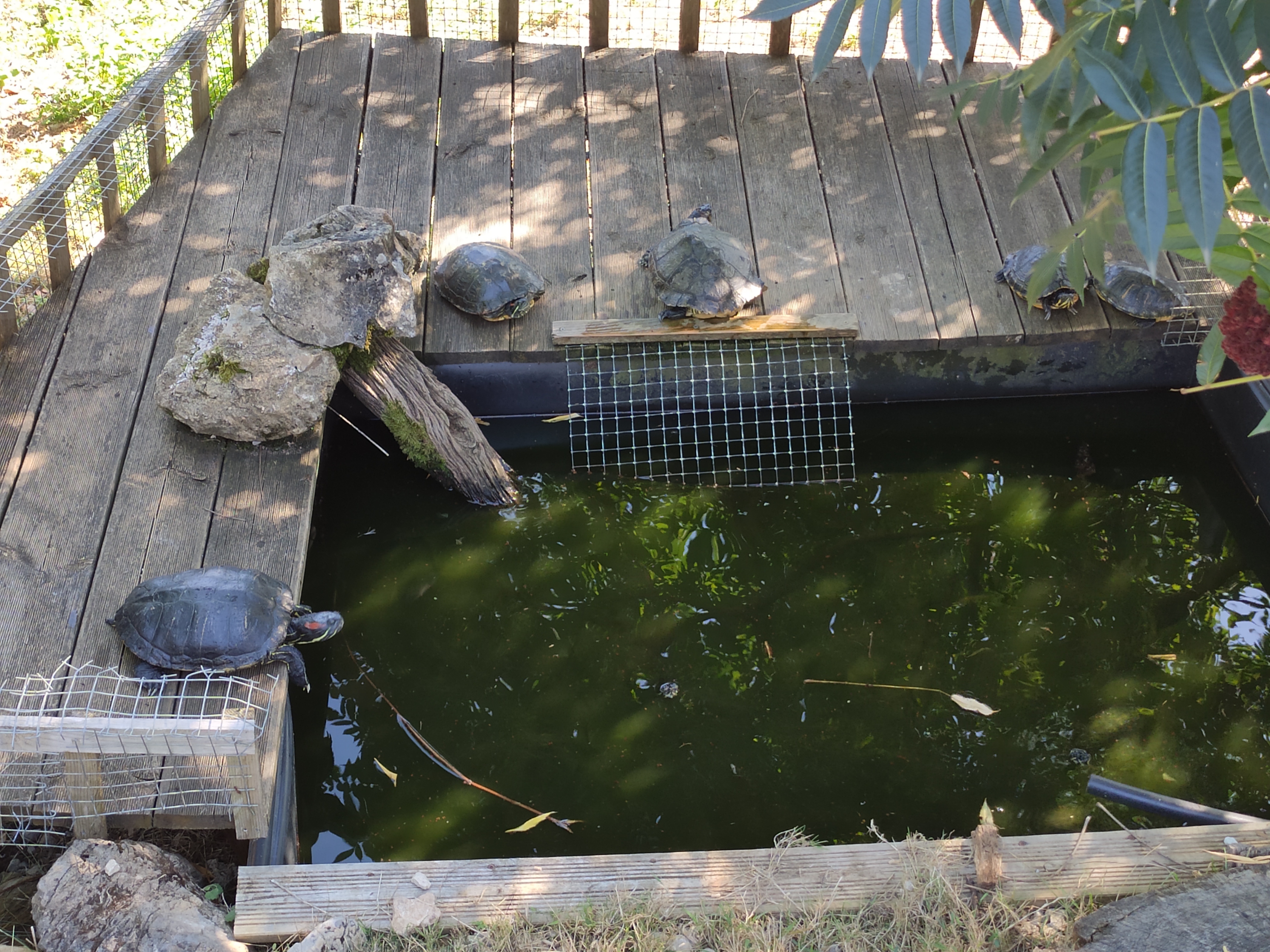 Photo n° 1 de l'avis de Sylvie.h fait le 20/08/2020 à 20:11