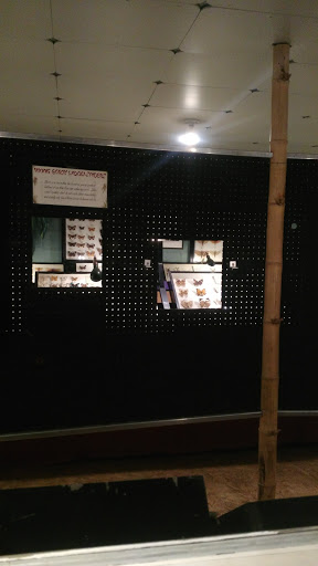 Museum «May Natural History Museum», reviews and photos, 710 Rock Creek Canyon Rd, Colorado Springs, CO 80926, USA