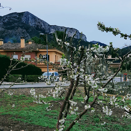 Extérieur hôtels Hostal Braseria Tivissa 43746 Tivissa