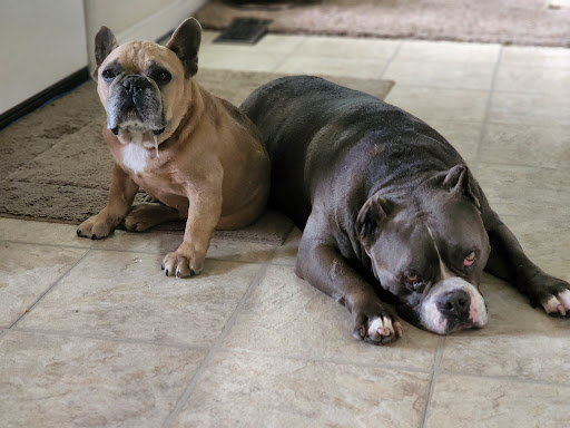 Pet Supply Store «Petco Animal Supplies», reviews and photos, 3637 2700 W, West Valley City, UT 84119, USA