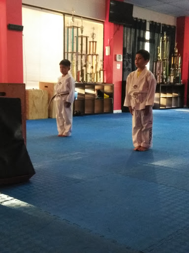 JT Taekwondokarate kickboxing and fitness image