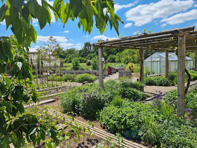 Bayerische Landesanstalt für Weinbau und Gartenbau (LWG), Gemüsebauversuchsbetrieb Bamberg Galgenfuhr 21, 96050 Bamberg, Deutschland