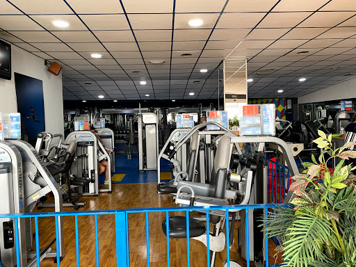 New Body Gym en Priego de Córdoba, Córdoba