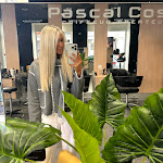 Photo n° 3 de l'avis de Émilia.s fait le 23/04/2024 à 09:12 pour Pascal Coste Nice à Nice