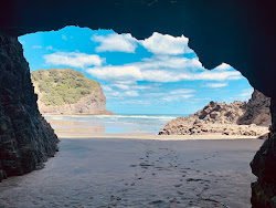Whites Beach'in fotoğrafı vahşi alan